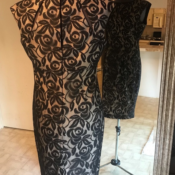 Maggy London size 8 classic Black & Nude Lace Dress. - Picture 4 of 5
